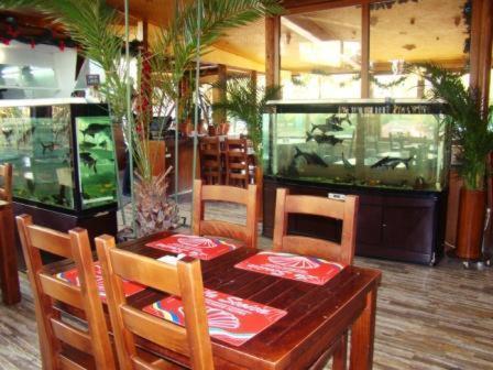 La Scoica Land 3*